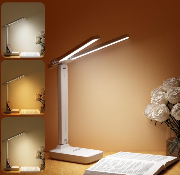 Double Head LED Table Lamp